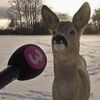 bigstickhappystick