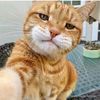 teacher_cat1970