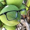 smart_coconut