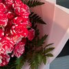 noura_695