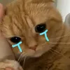 zaahuynotgiahuy