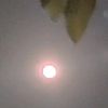 calisyaa335