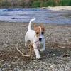 cocoandfamily5