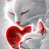 user891970060