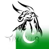 kkhurramm