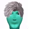 hvpng