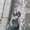 usernamegg320