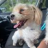chrissys_curious_life