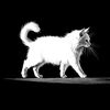 cat lovers