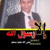 ramadanmohammed133