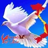 user521086993