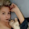 bullistic_bishe