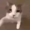 poojaaeiei