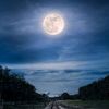 whitemoonlight_