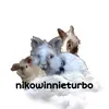 nikowinnieturbo
