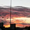 greta__062