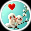 mohamad14809