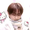 svt621.13