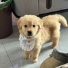 sammy_w42