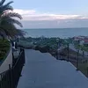 cacaca9x