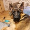 lerochka_1998431