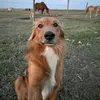 melierr_