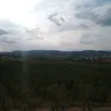 jucabala223