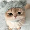 phong_965