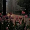 dalal_432