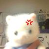 seaszn_