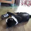 duzxyuzx