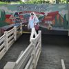 alisia_listy