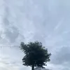 apa_ya016