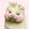 honq_cchouu