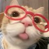 lik_3004