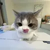 nguoiiutuidauroi