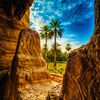 naif1alharbi