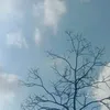 ntah.siapa112
