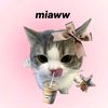 miaww1_3