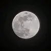 n1vm1zz3t
