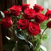 .eliyeva.48