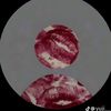 mouhamedmaroufi