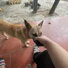 duysangcute