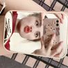 nguyenphuong442003
