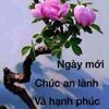 hothihongcuc1234