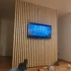 daniel___336