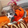 animalsfriendslove2