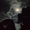 mfdhl_44