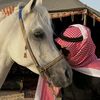 abo_suod21