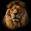_elnur_025_